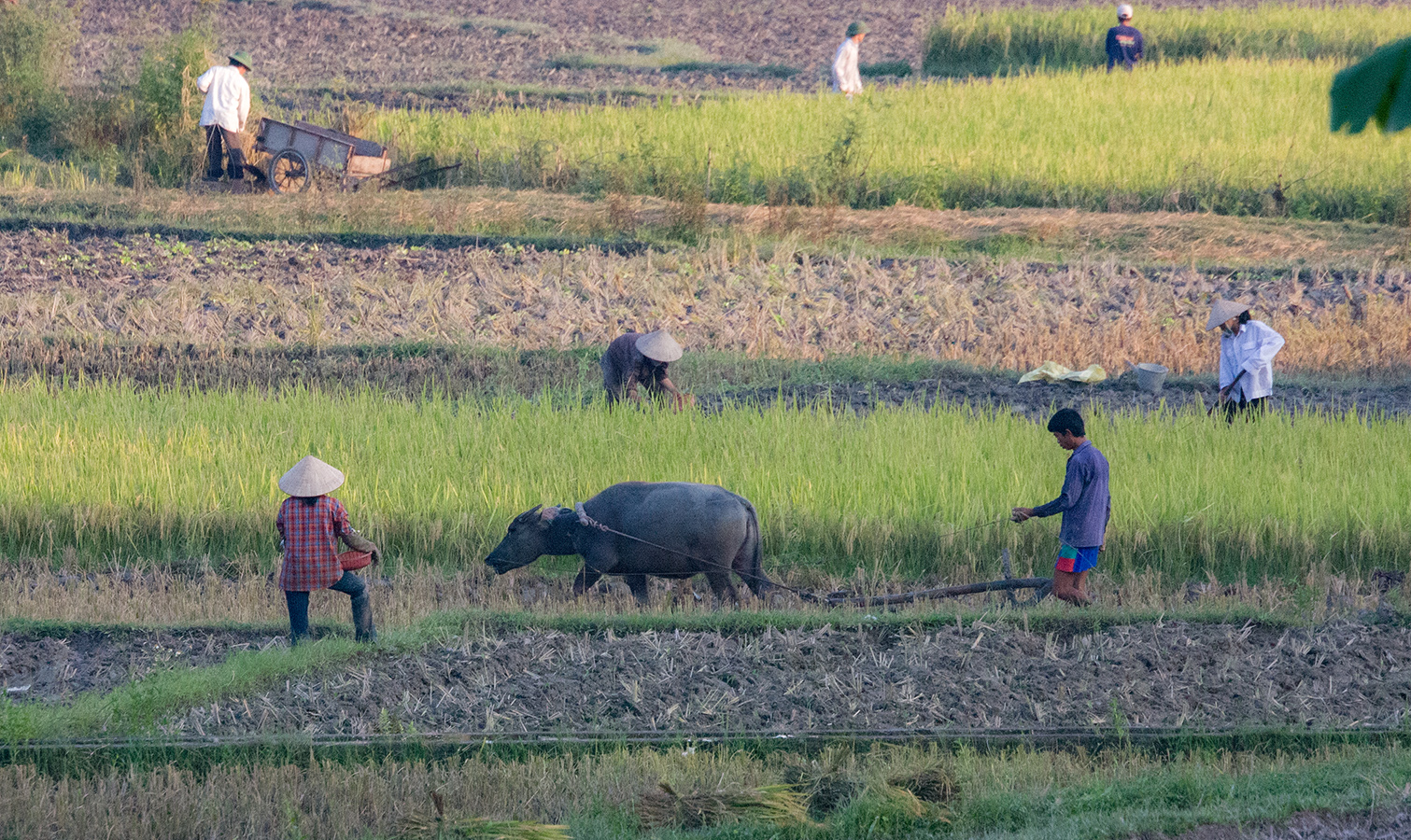 Ha Chiang   Retour Hanoi   007
